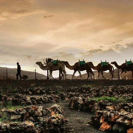 Home2book Prime Location Apartment, Playa Grande Lejlighed *